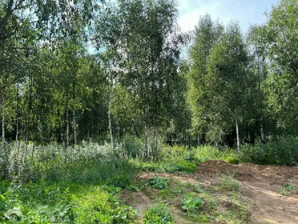 Продается участок в д. Новорождествено - Фото 0