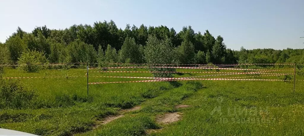 Участок в Нижегородская область, Балахна ул. Зои Космодемьянской (12.0 ... - Фото 1