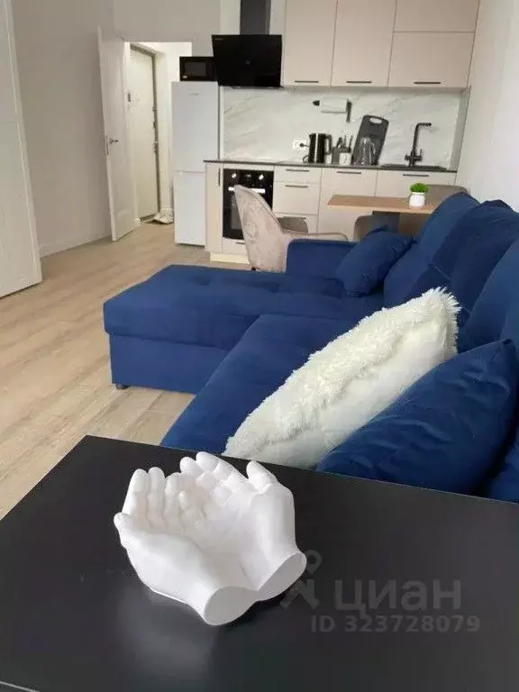 1-к кв. Санкт-Петербург ул. Дыбенко, 3 (27.0 м) - Фото 1