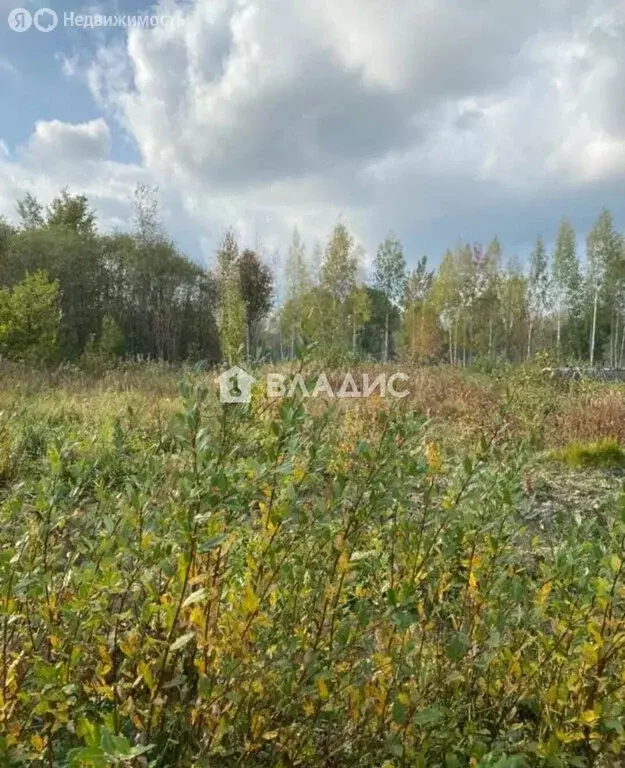 Участок в городской посёлок Ульяновка, товарищество собственников ... - Фото 2