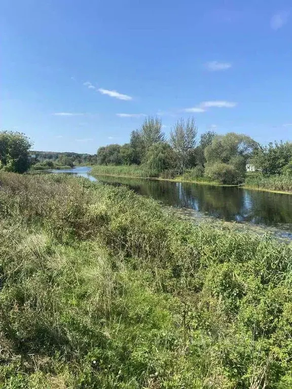 Участок в Воронежская область, Новоусманский район, ... - Фото 1