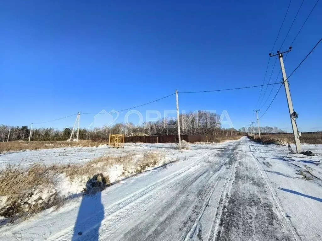 Участок в Тюменская область, Тюменский район, с. Каменка  (10.0 сот.) - Фото 1