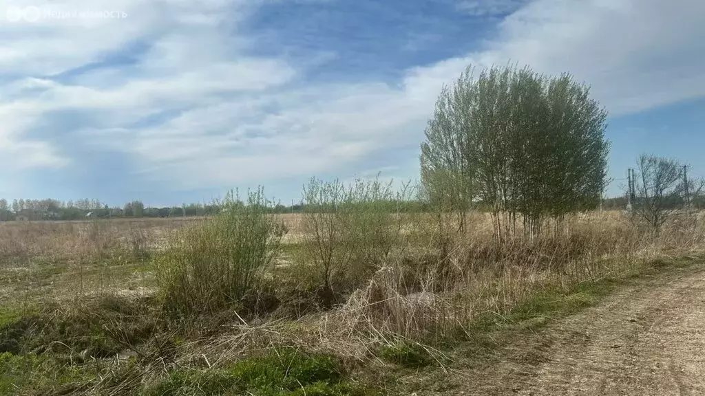 Участок в Хабаровский район, Тополевское сельское поселение, село ... - Фото 1