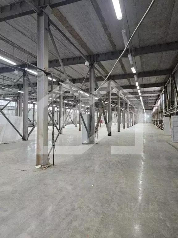 Помещение свободного назначения в Московская область, Одинцово ... - Фото 1