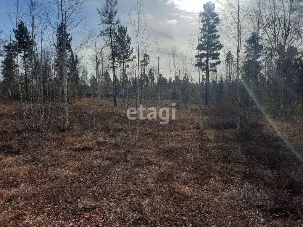 Участок в Забайкальский край, Читинский район, с. Смоленка  (99.6 ... - Фото 0