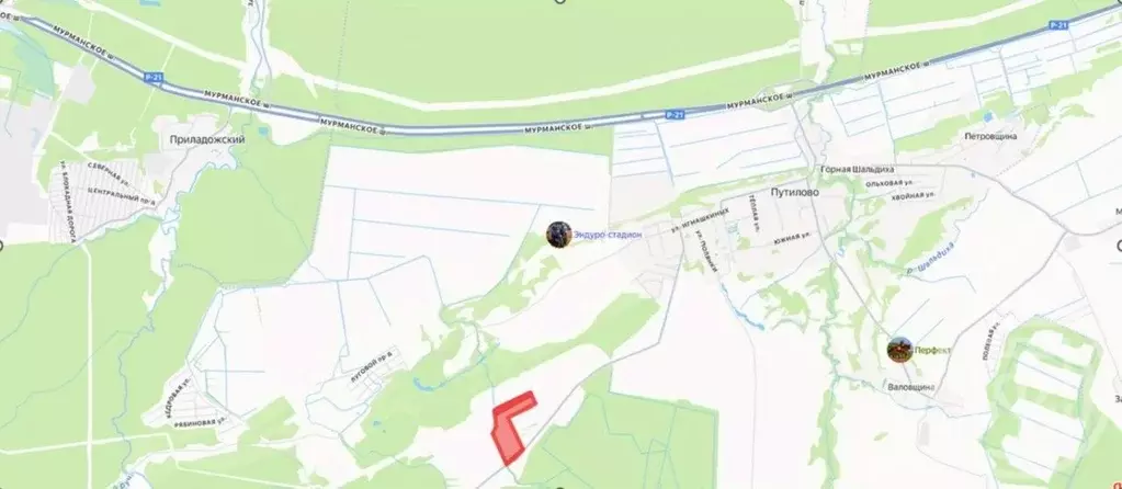 Участок в Ленинградская область, Кировский район, Шумское с/пос, ... - Фото 2