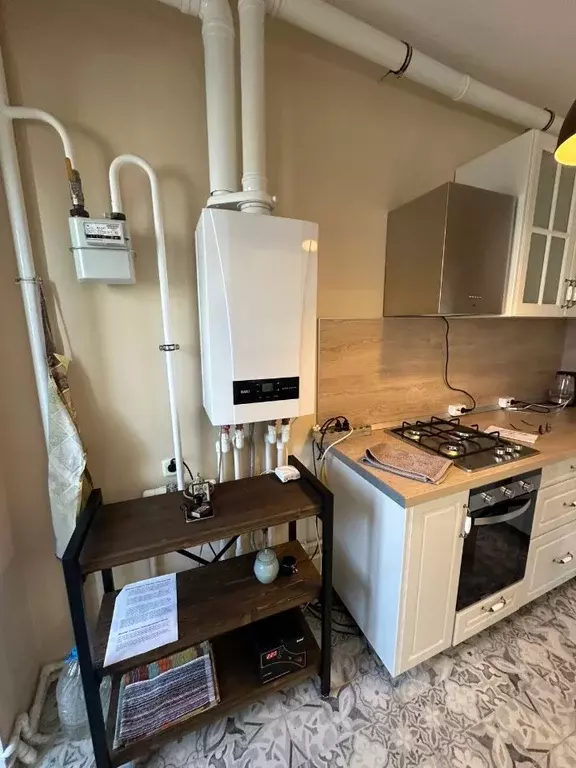 1-к кв. Псковская область, Псковский район, Завеличенская волость, д. ... - Фото 2