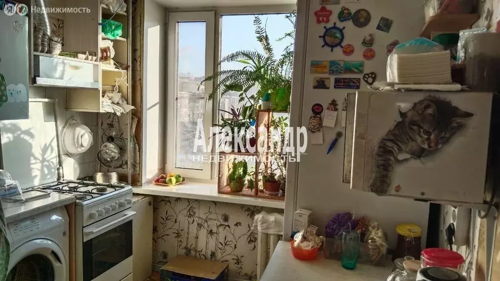 2-комнатная квартира: Санкт-Петербург, Народная улица, 16 (47.5 м) - Фото 2