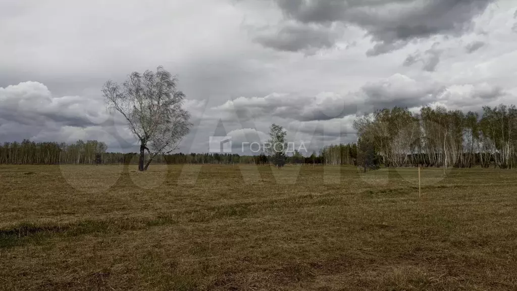 Участок 10 сот. (СНТ, ДНП) - Фото 1
