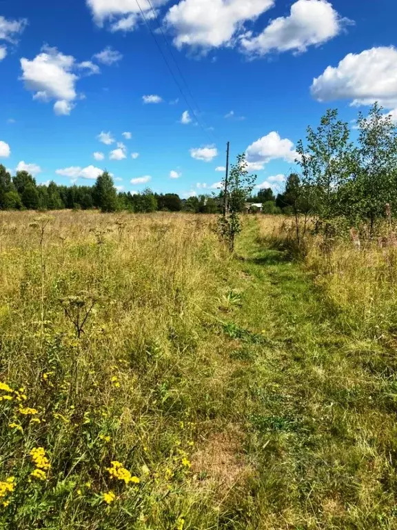 Участок в Владимирская область, Кольчугинский район, д. Новофроловское ... - Фото 2