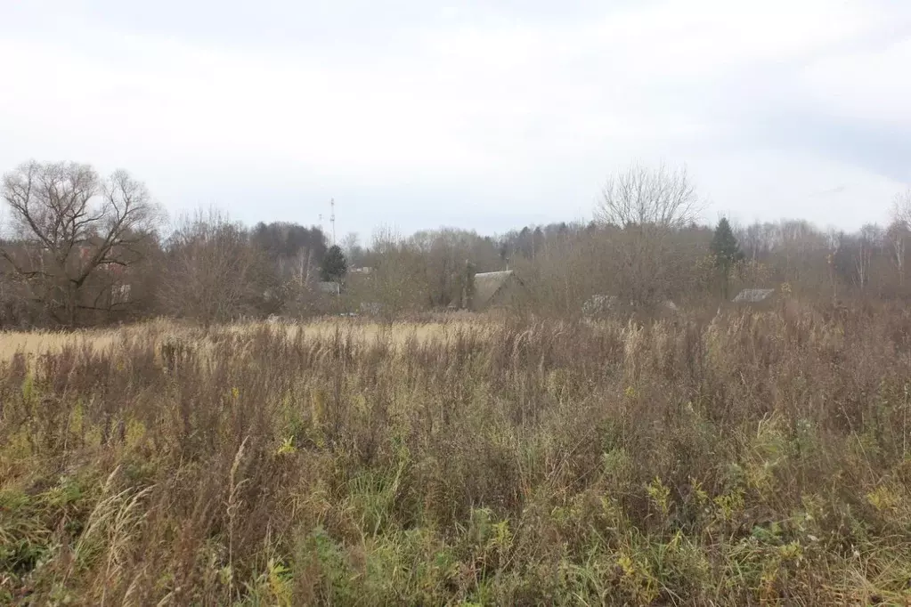 Участок в Москва д. Белоусово, 13 (17.03 сот.) - Фото 2