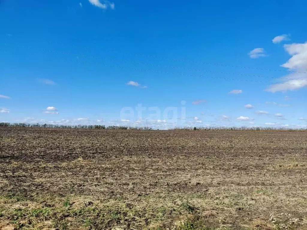 Участок в Белгородская область, Красногвардейский район, Засосенское ... - Фото 1