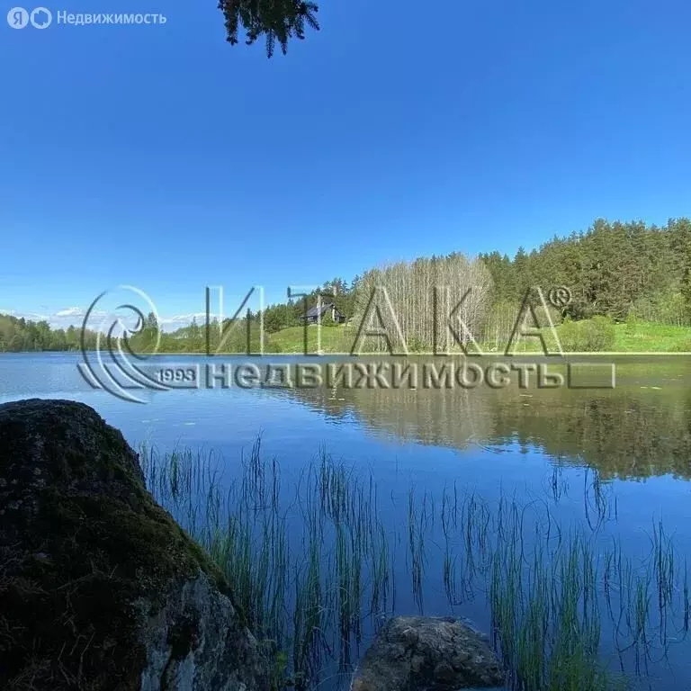 Участок в Выборгский район, Каменногорское городское поселение, ... - Фото 2