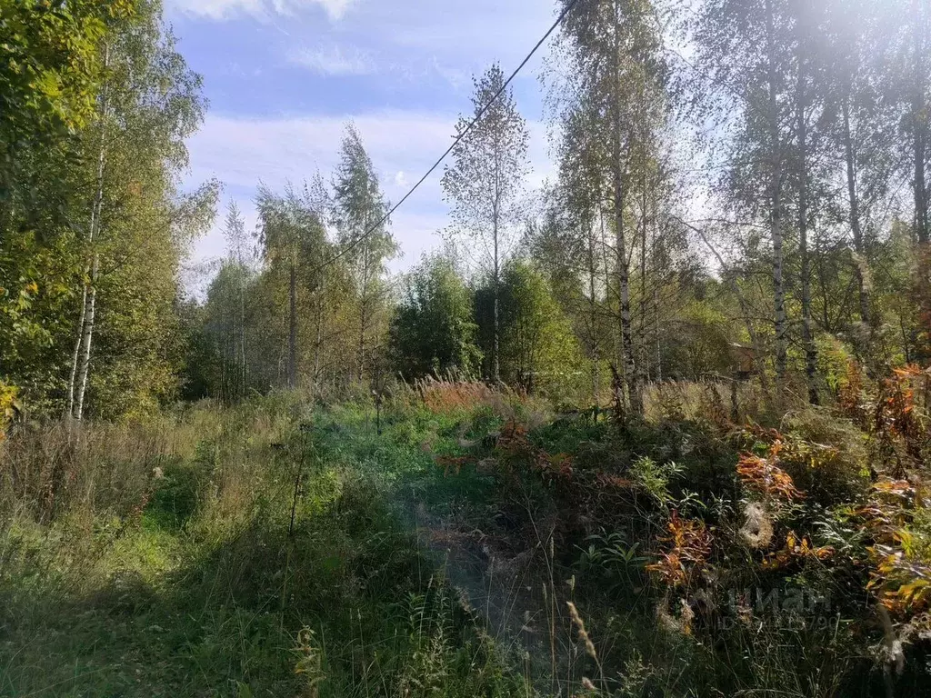 Участок в Московская область, Сергиево-Посадский городской округ, ... - Фото 2