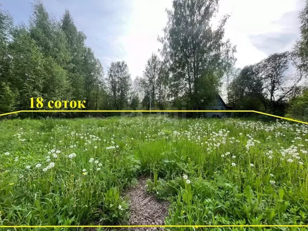 Участок в Вологодская область, Вологда Сохатый садоводческое ... - Фото 2