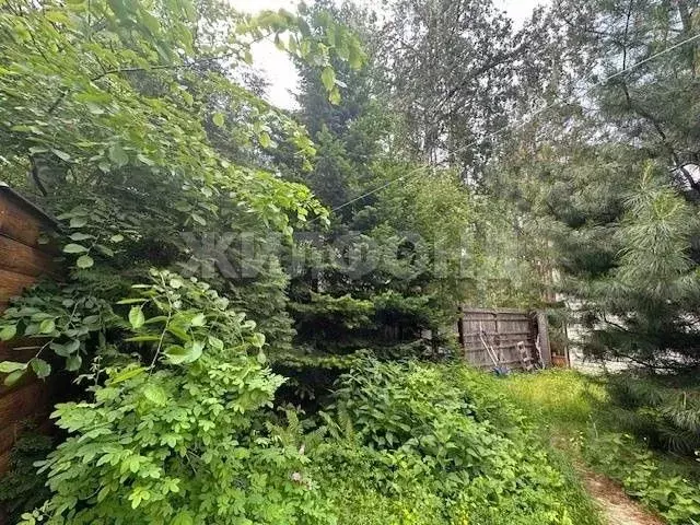 Дом в Новосибирская область, Новосибирск Лесной ДНТ, 32 (147 м) - Фото 1