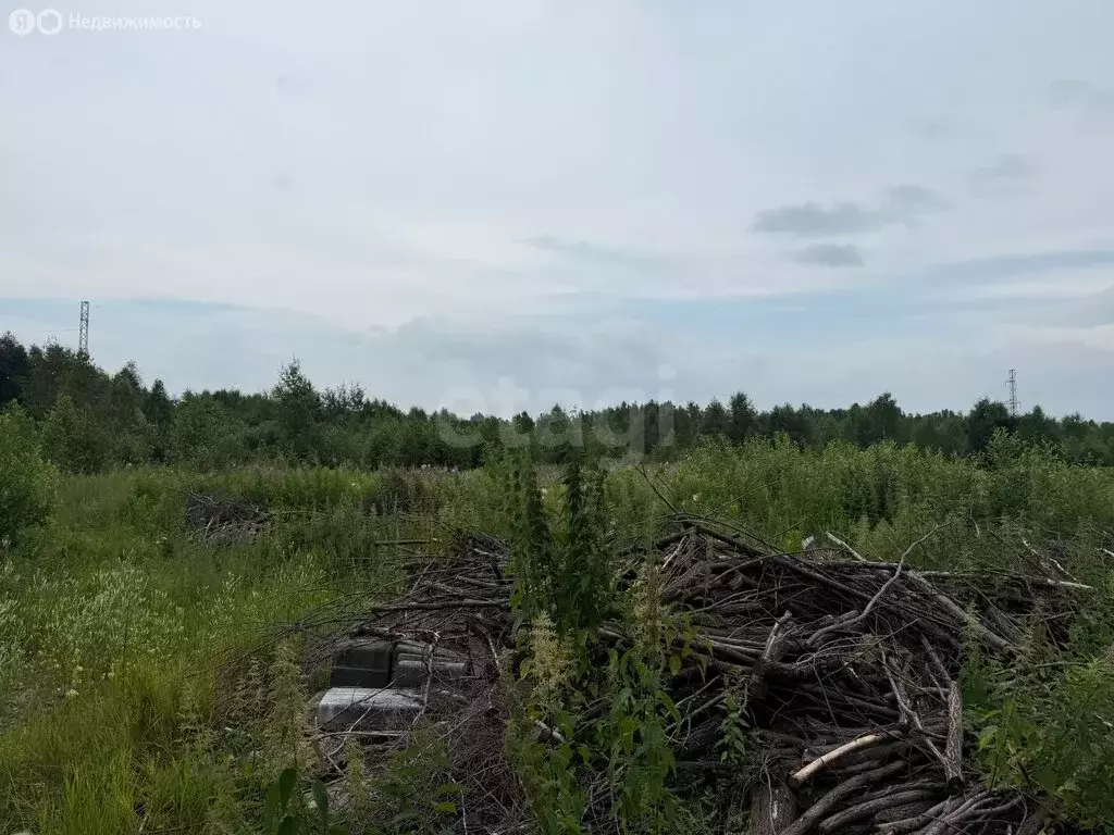 Участок в Златоуст, квартал Орловский (10.03 м) - Фото 2