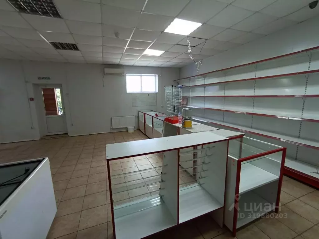 Торговая площадь в Владимирская область, Киржачский муниципальный ... - Фото 2