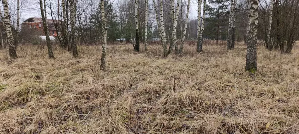 Участок в Московская область, Богородский городской округ, д. Исаково  ... - Фото 1