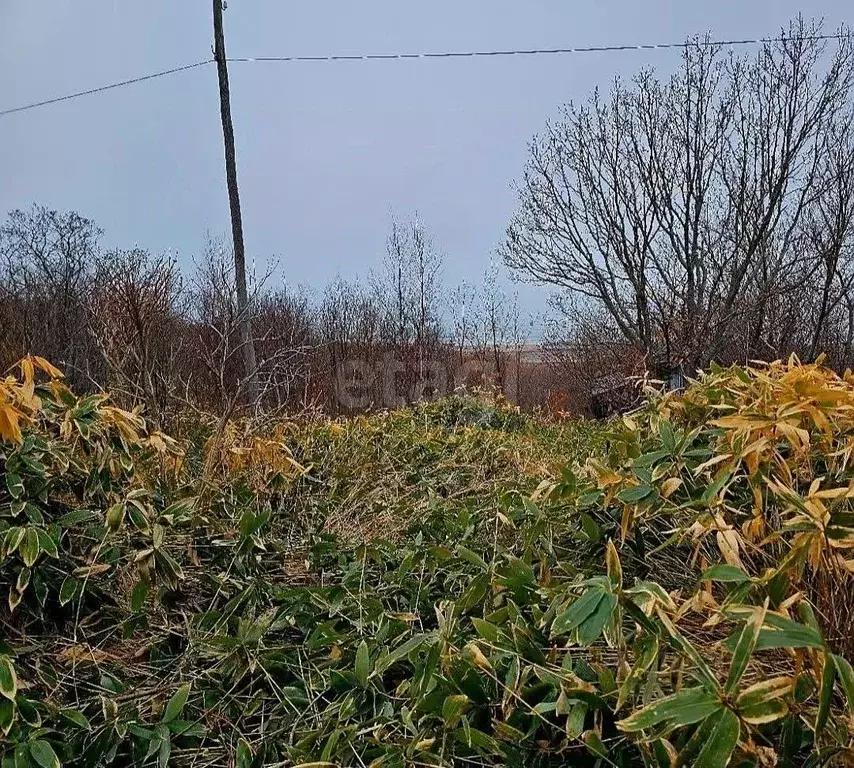 Участок в Сахалинская область, Южно-Сахалинск Виктория СНТ,  (11.6 ... - Фото 2