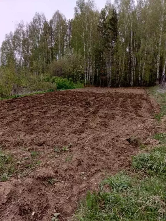 Участок в Свердловская область, Верхняя Пышма городской округ, пос. ... - Фото 0