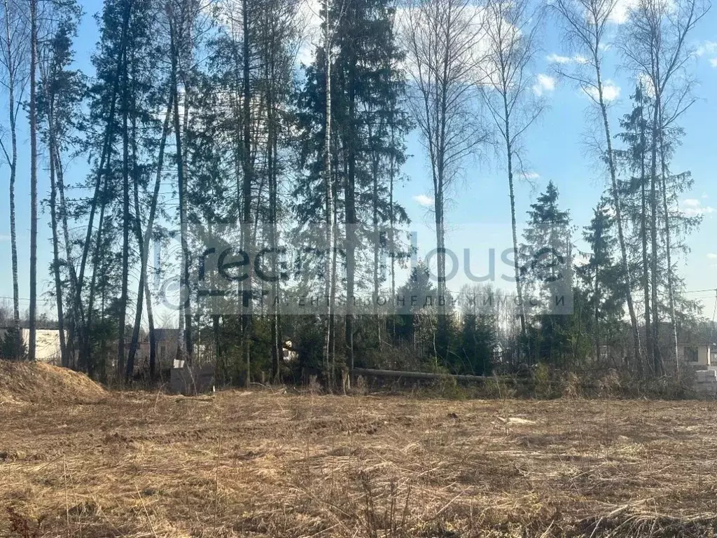 Участок в Московская область, Балашиха СНТ Заря тер.,  (10.0 сот.) - Фото 1