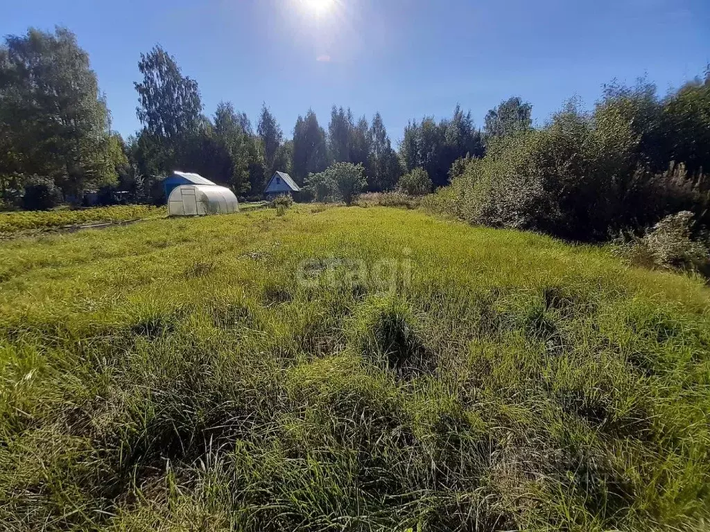 Участок в Вологодская область, Шекснинский муниципальный округ, ... - Фото 1