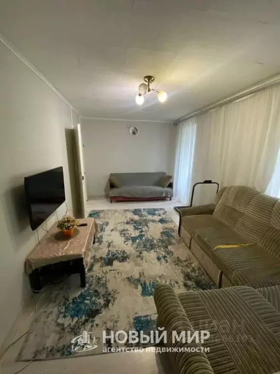 3-к кв. Нижегородская область, Бор муниципальный округ, Деревня ... - Фото 1