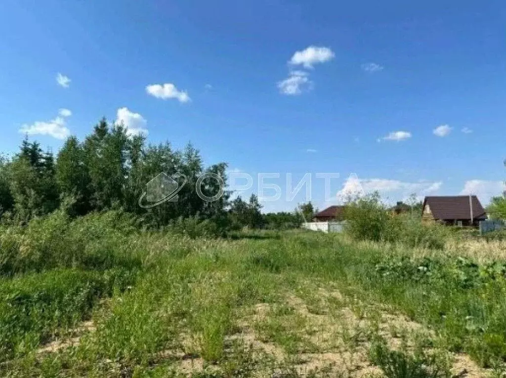 Участок в Тюменская область, Тюменский район, д. Елань 14 (4.5 сот.) - Фото 0
