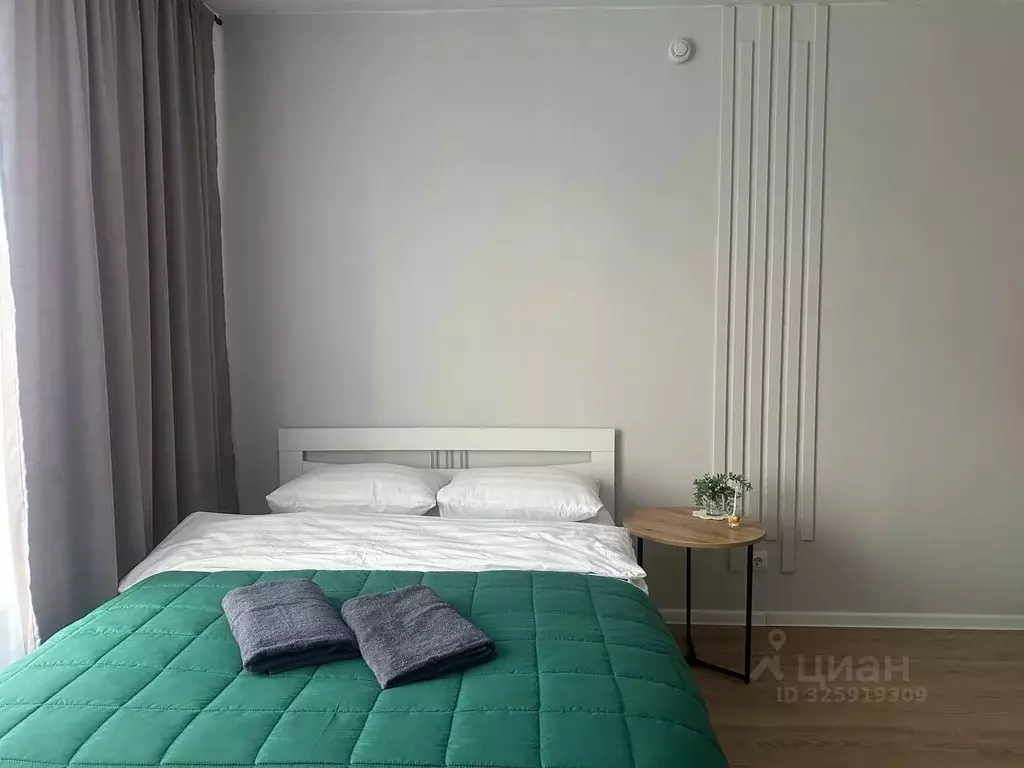 Студия Московская область, Одинцово ул. Каштановая, 16 (25.0 м) - Фото 1