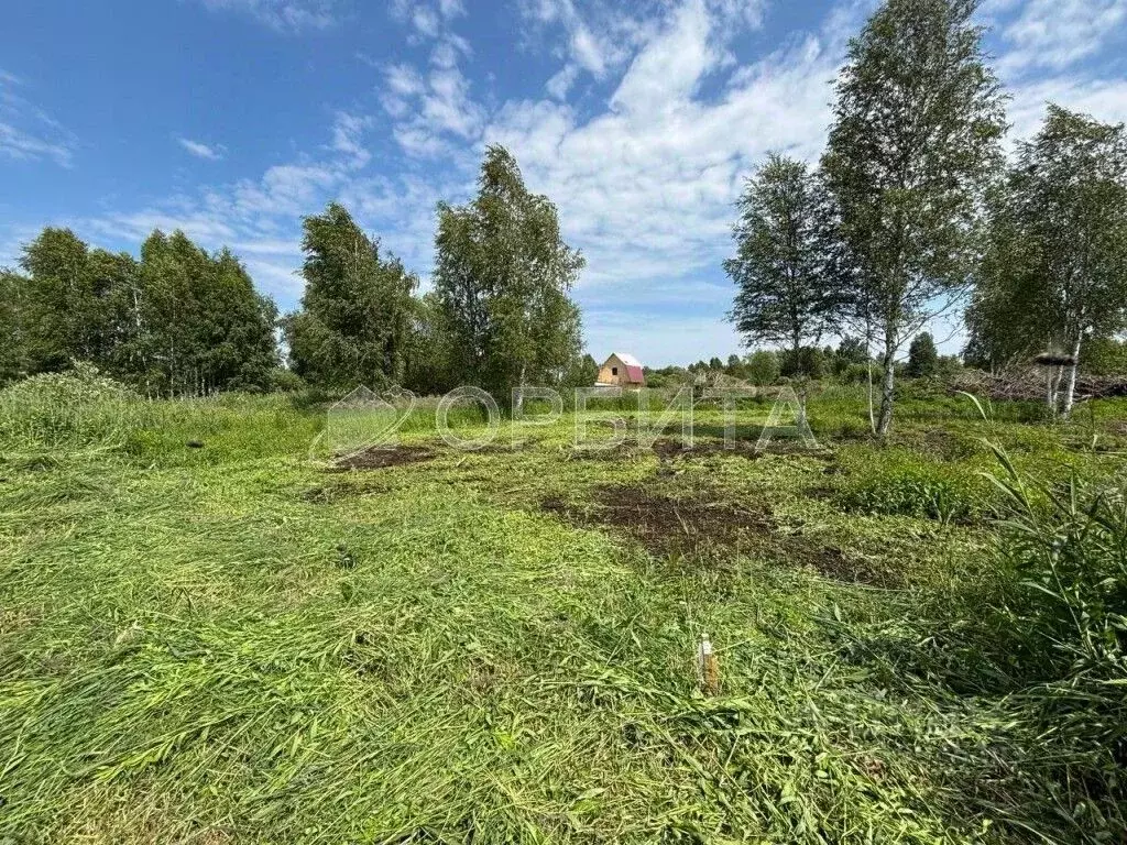 Участок в Тюменская область, Нижнетавдинский район, Виктория ТСН ул. ... - Фото 2