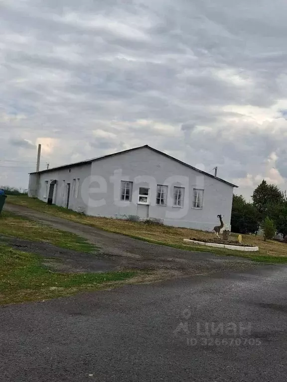 Помещение свободного назначения в Белгородская область, Вейделевский ... - Фото 1