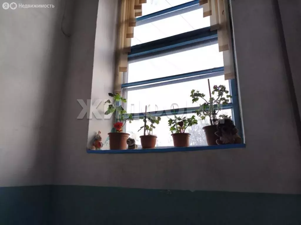 Квартира-студия: Новосибирск, микрорайон Пашино, улица Чекалина, 1 ... - Фото 2