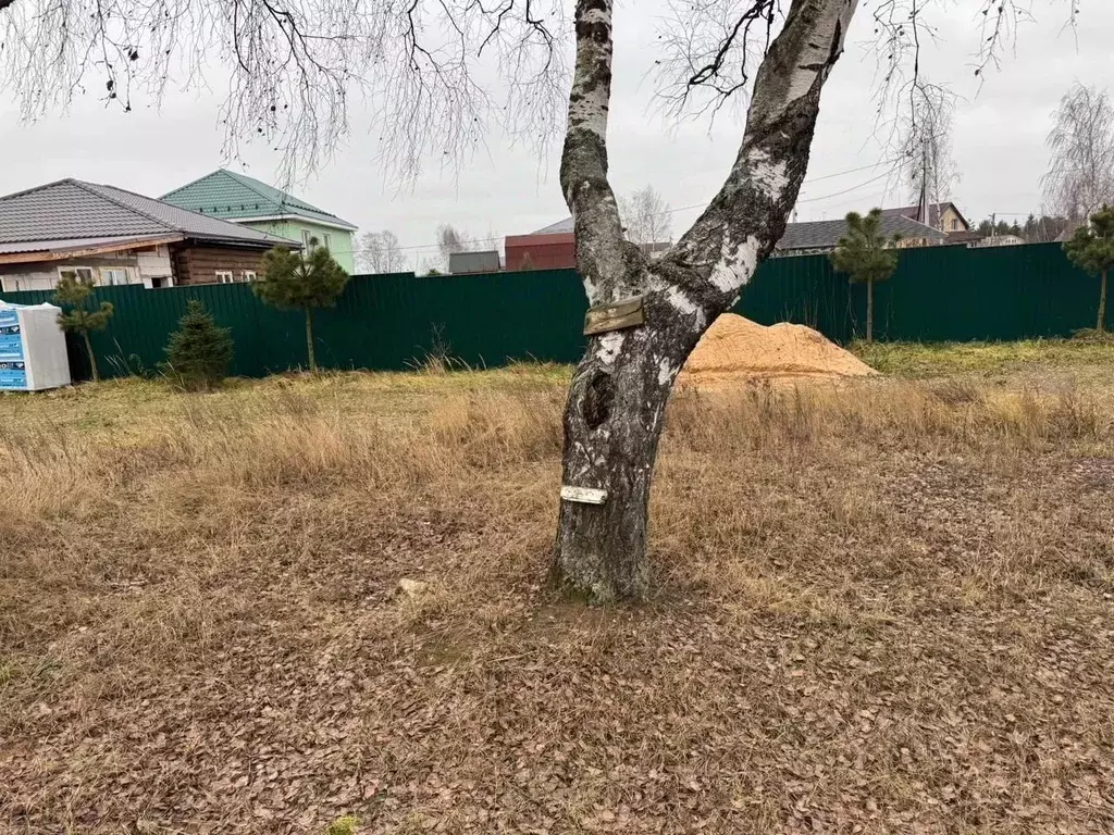 Участок в Московская область, Богородский городской округ, д. Шульгино ... - Фото 1