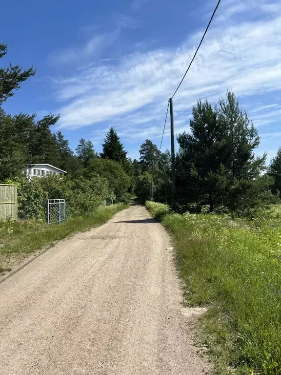 Участок в Ленинградская область, Выборгский район, Каменногорское ... - Фото 0