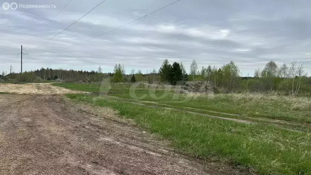 Участок в Свердловская область, Тугулымский муниципальный округ, ... - Фото 1