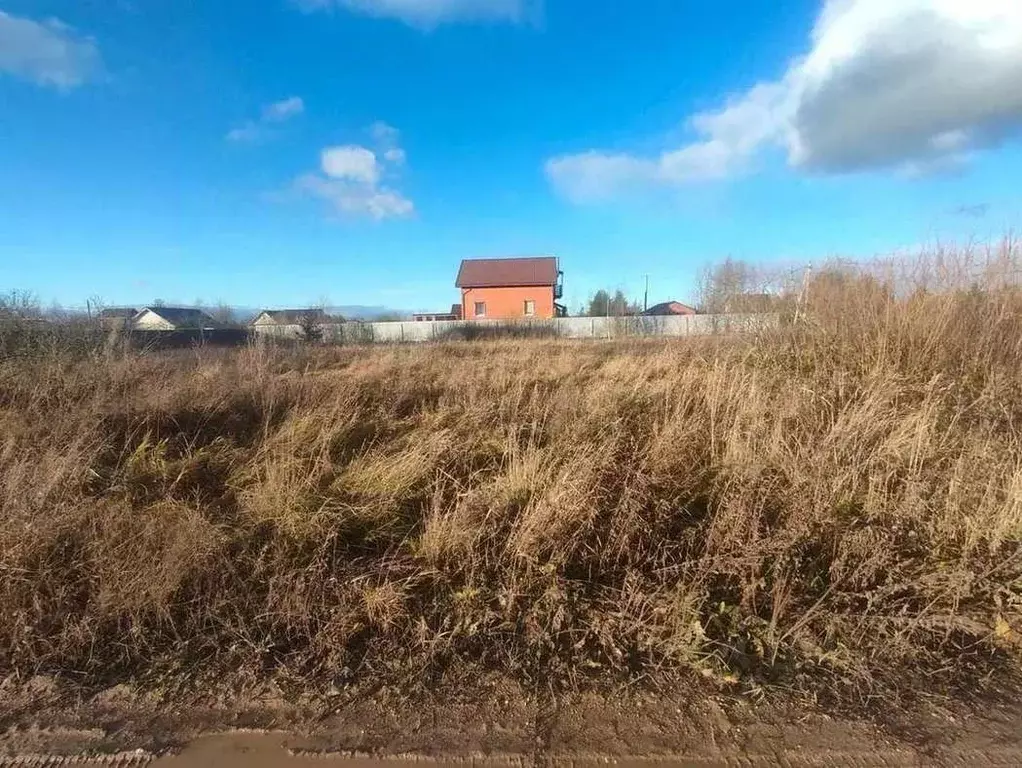 Участок в Новгородская область, Новгородский район, Трубичинское ... - Фото 1