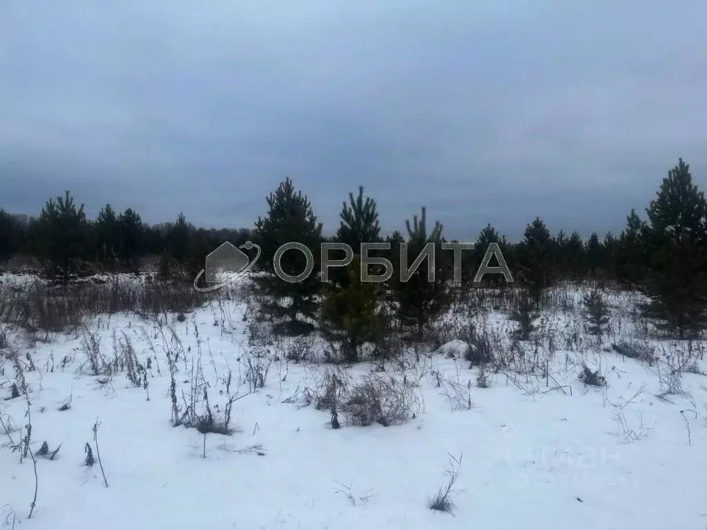 Участок в Тюменская область, Тюменский район, с. Горьковка Сибирская ... - Фото 0