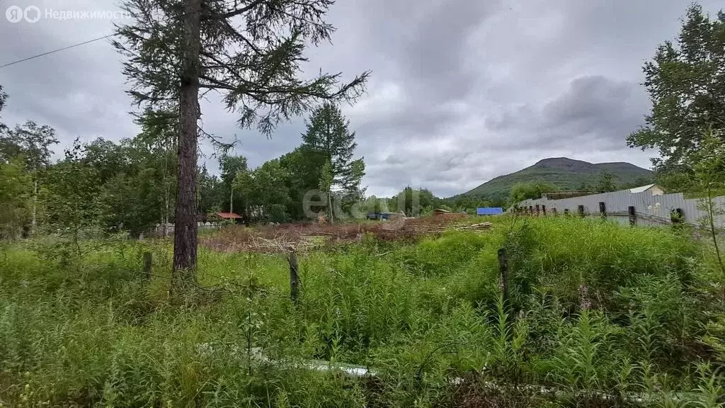 Участок в село Эссо, Берёзовая улица (13.7 м) - Фото 0