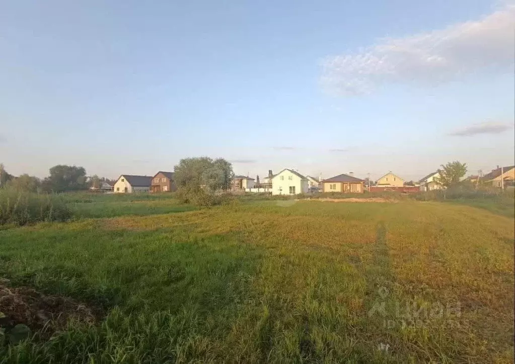 Участок в Воронежская область, с. Новая Усмань пер. Первомайский, 10/1 ... - Фото 1