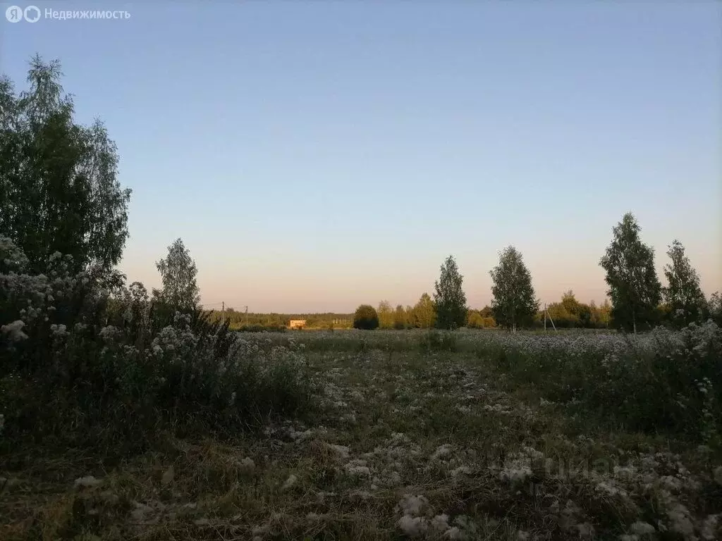 Участок в Ярославский муниципальный округ, Кузнечихинское сельское ... - Фото 2