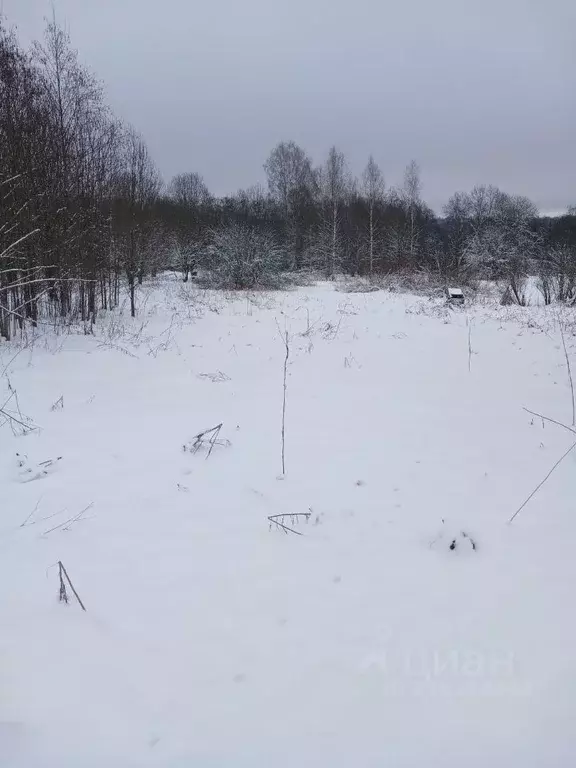 Участок в Новгородская область, Крестецкий муниципальный округ, д. ... - Фото 0