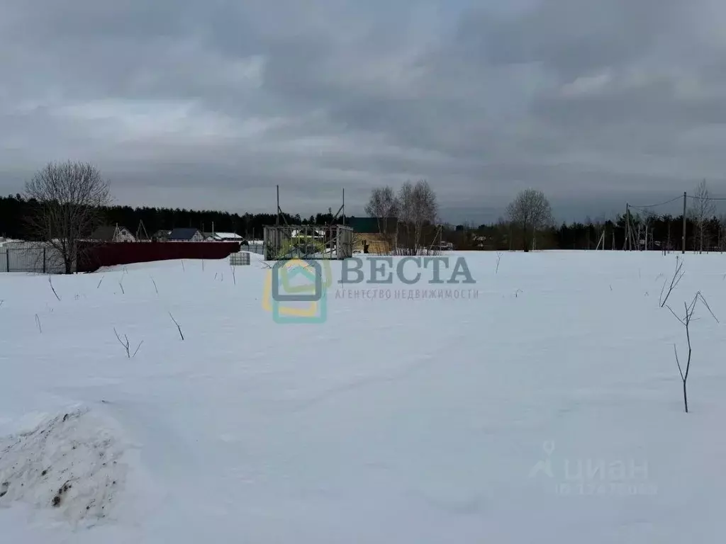 Участок в Ленинградская область, Приозерский район, Запорожское с/пос, ... - Фото 1