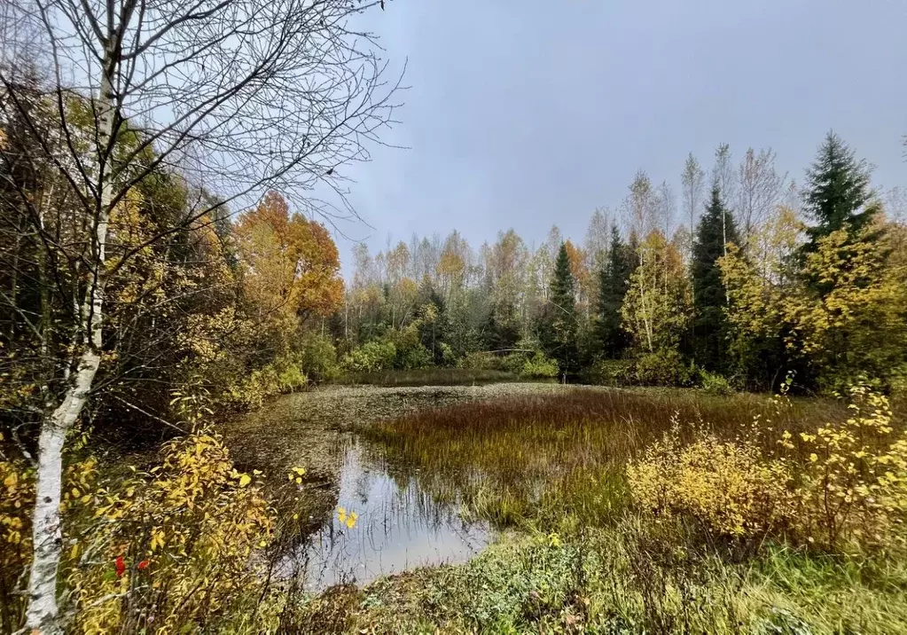 Участок в Московская область, Клин городской округ, д. Тиликтино  ... - Фото 1