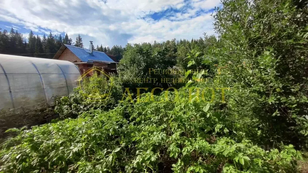 Дом в Свердловская область, Ревда Солнечное СОТ,  (20 м) - Фото 1