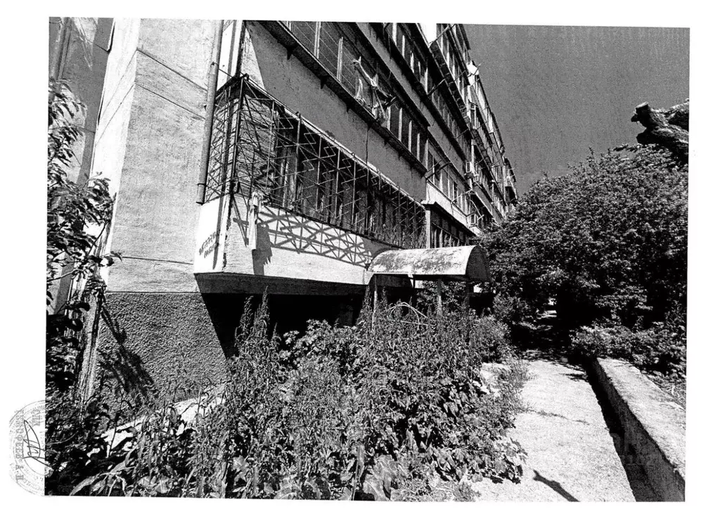 Помещение свободного назначения в Севастополь ул. Курганная, 24 (256 ... - Фото 1