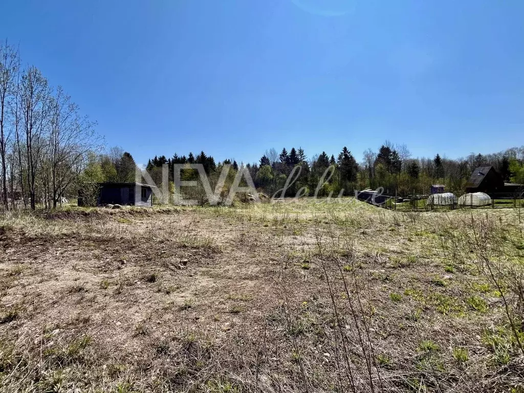 Участок в Ленинградская область, Ломоносовский район, Лопухинское ... - Фото 1