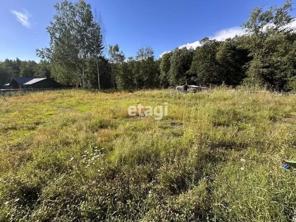 Участок в Ленинградская область, Всеволожский район, Колтушское ... - Фото 0