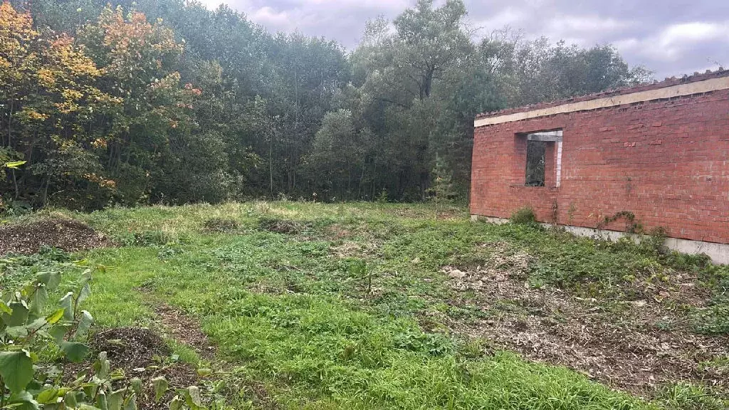 Продается участок в СНТ Садовод-1 - Фото 2