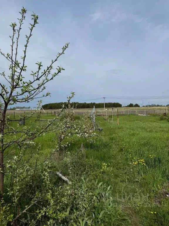 Дом в Самарская область, Шигонский район, с. Муранка Ульяновская ул., ... - Фото 1